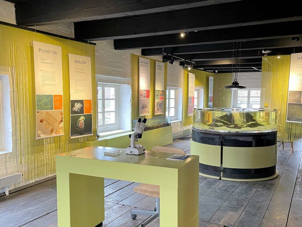 Nationalparkhaus Carolinensiel