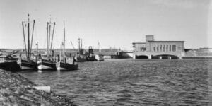 Hafenführung - Fische, Fracht und Fähren in Harlesiel